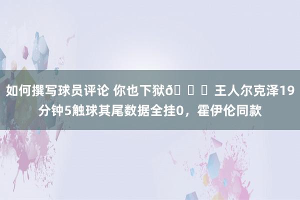 如何撰写球员评论 你也下狱😖王人尔克泽19分钟5触球其尾数据全挂0，霍伊伦同款