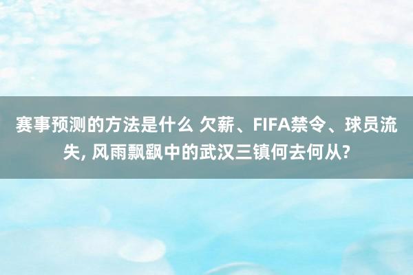 赛事预测的方法是什么 欠薪、FIFA禁令、球员流失, 风雨飘飖中的武汉三镇何去何从?