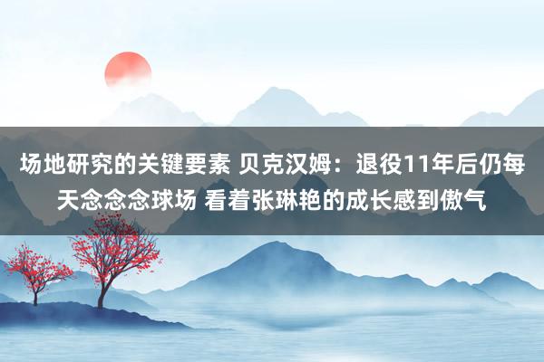 场地研究的关键要素 贝克汉姆：退役11年后仍每天念念念球场 看着张琳艳的成长感到傲气